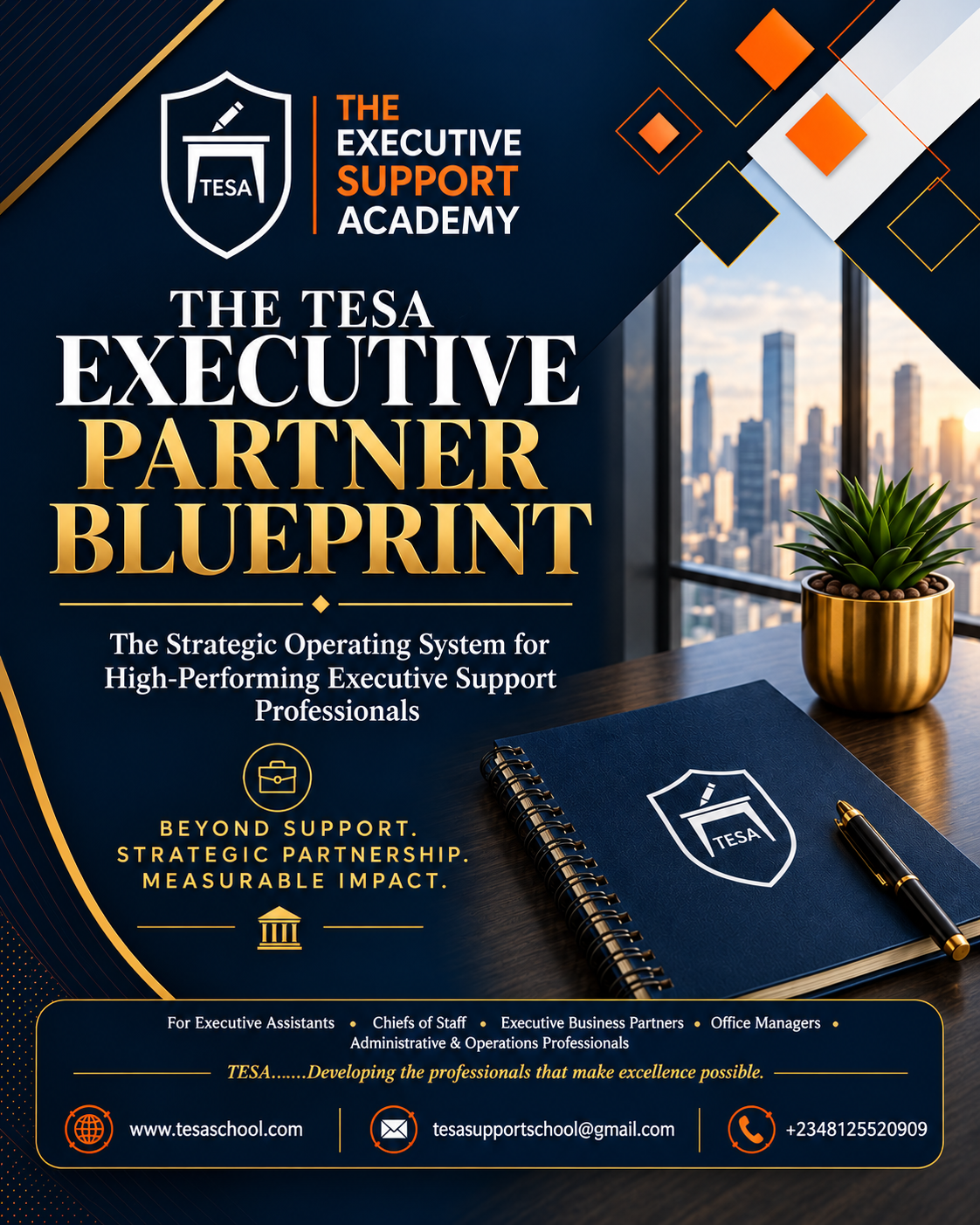 THE TESA EXECUTIVE PARTNER BLUEPRINT™